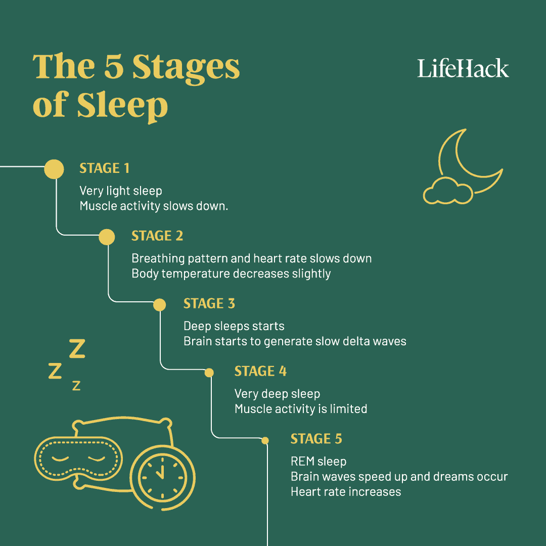 sleep cycle