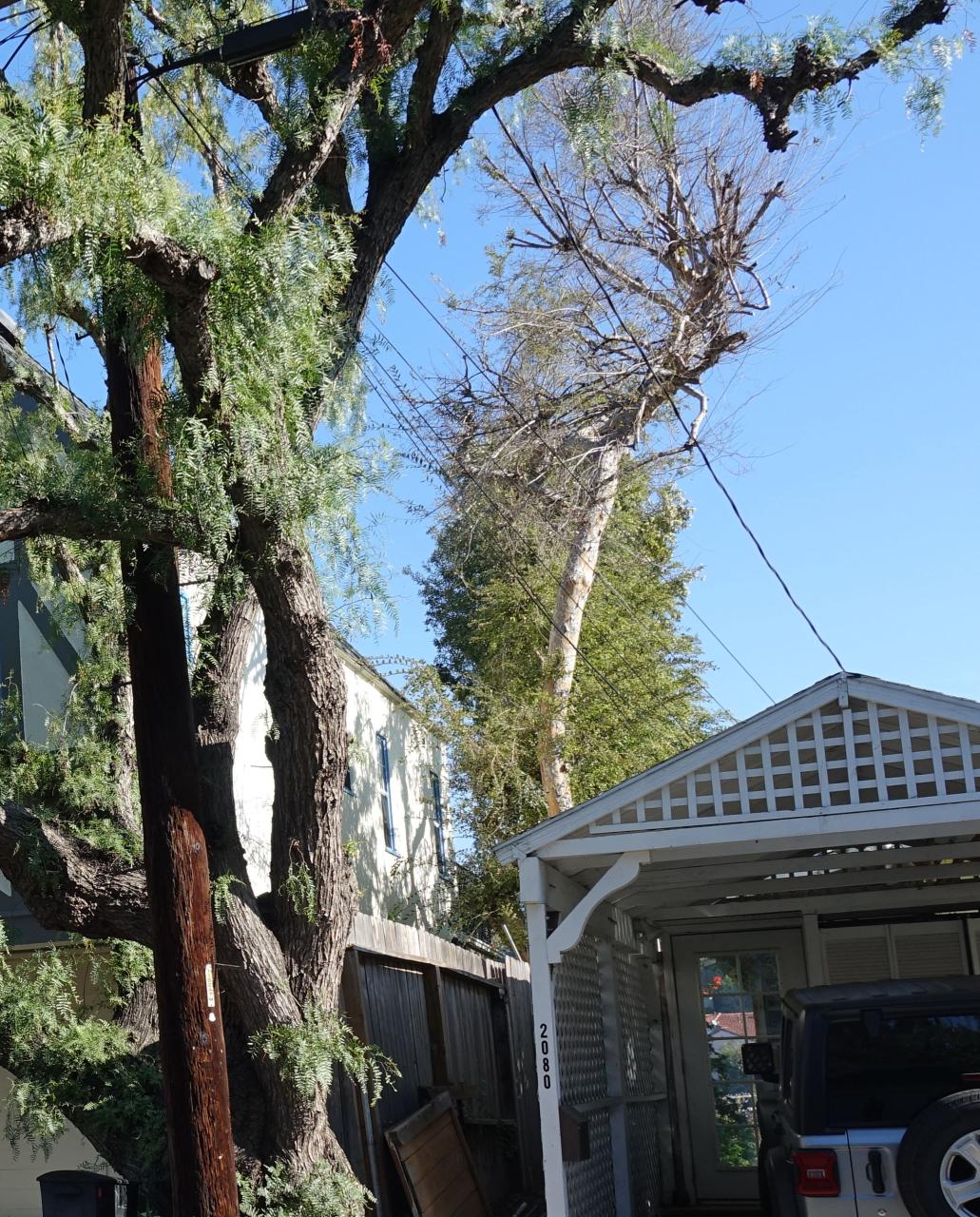 Harwick's roommate said he had narrowly escaped the apartment by jumping a wall to run for help
