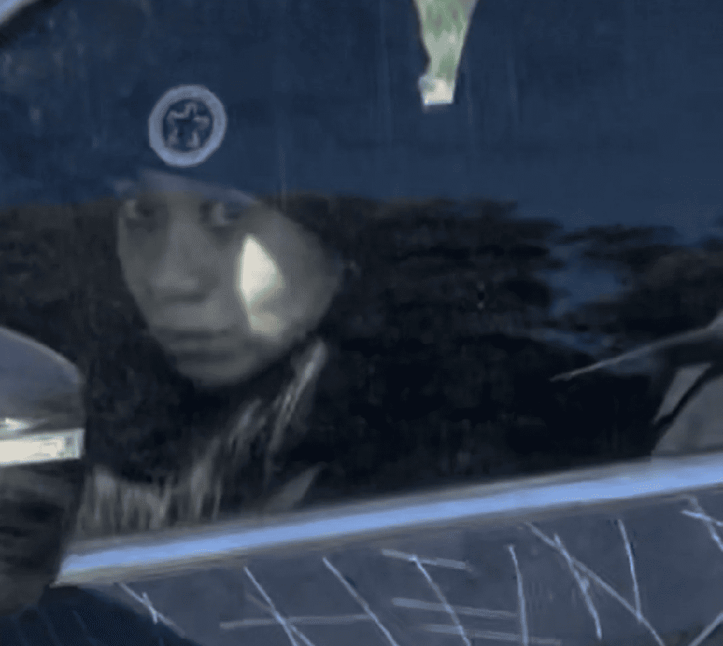 Aria Martin Mugshot And Car Accident: Driver Was Held Under A ,000 Bail Aria Martin, the 33-year-old driver